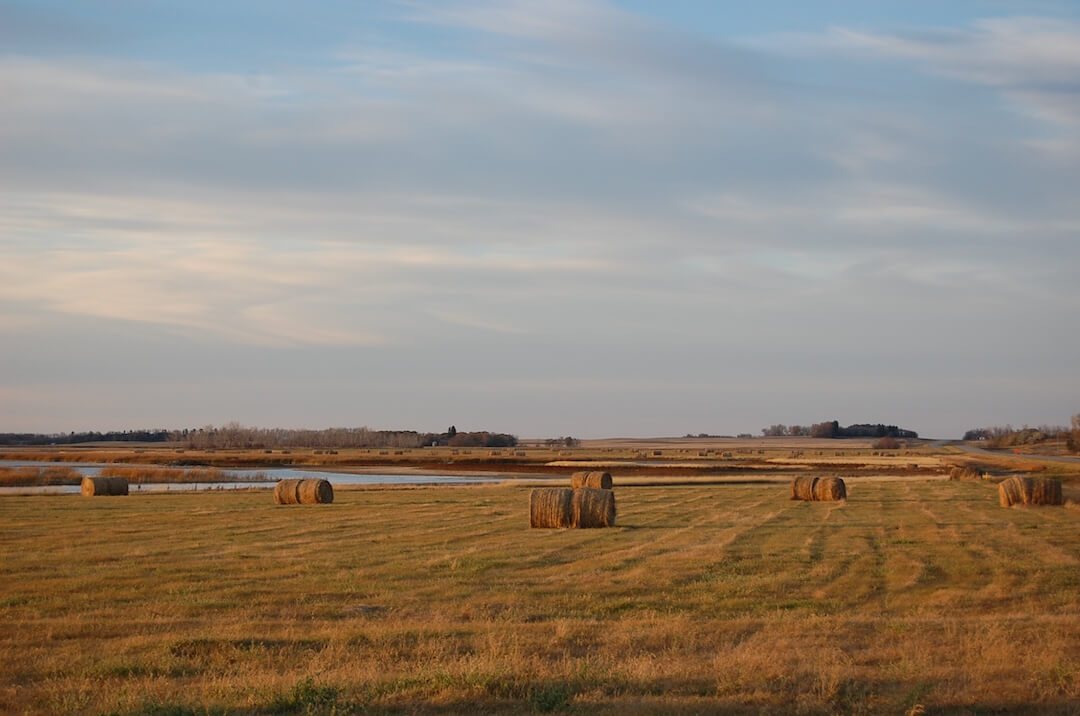 North Dakota prairie, c. 1909