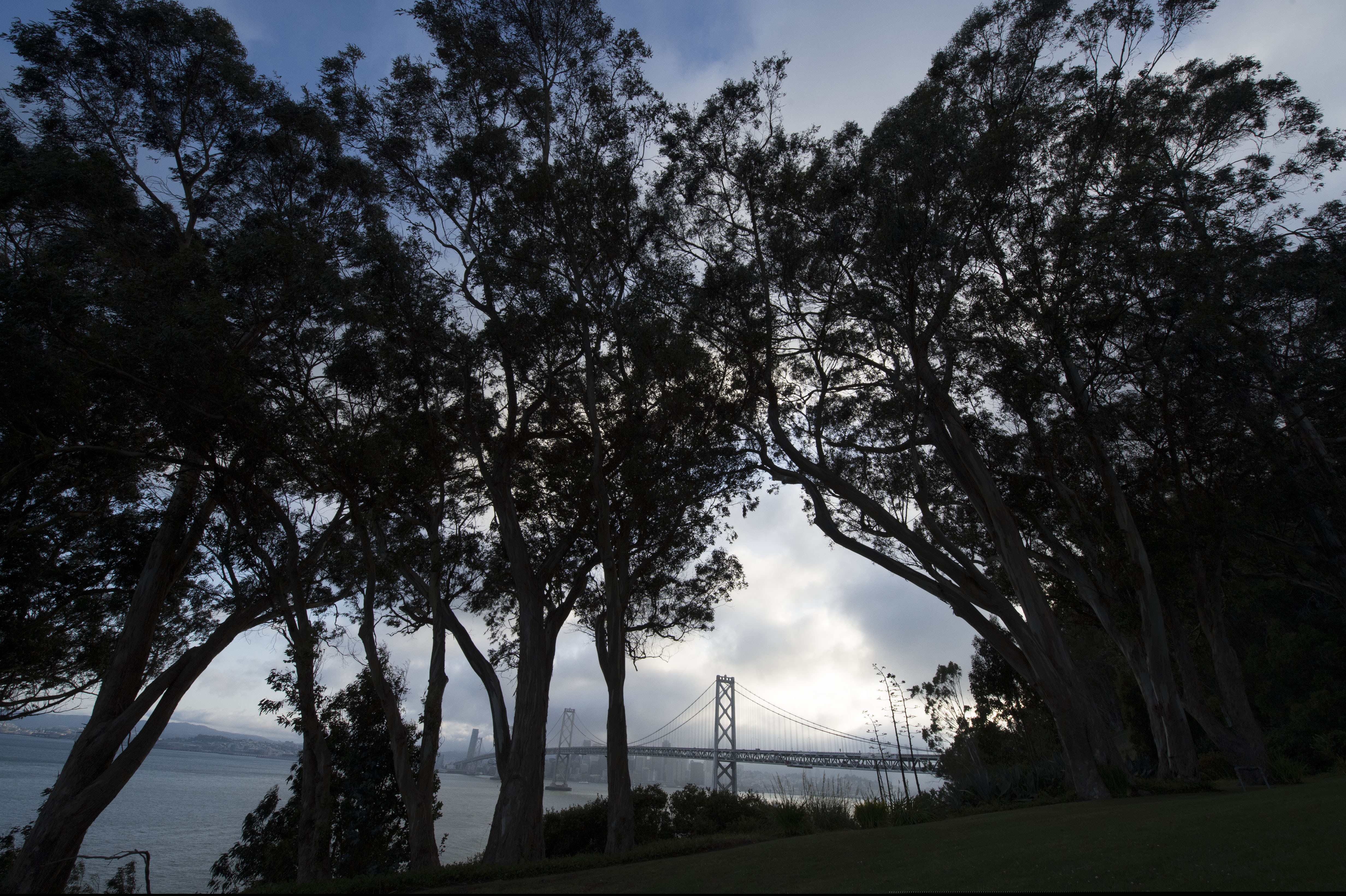 Alameda, California — the island city on the San Francisco Bay