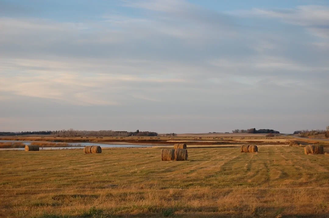 North Dakota plains near Bottineau